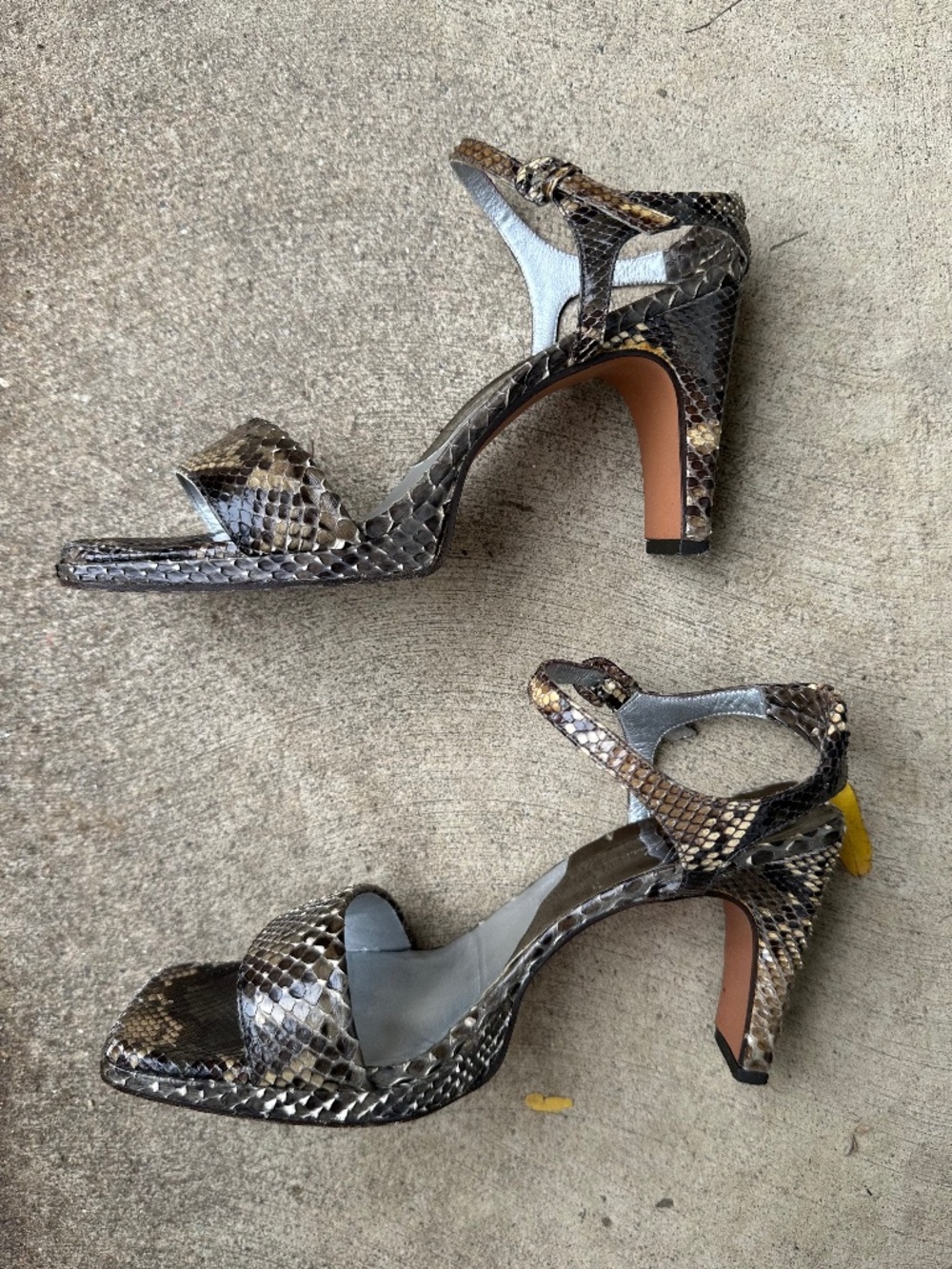Python Heels - Picture 2 of 16